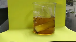 Diffusion Lab Starch and Iodine