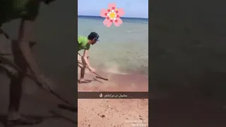 مهرجان الماده شاده مستمعين دندنها