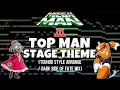 Download Lagu Mega Man 3 - Top Man Stage Theme (Touhou Style Arrange)
