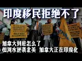 Download Lagu 恒河水逆襲北美！加拿大正在‘印度化’？20萬人‘空投’加拿大！本地人徹底懵了…從咖喱味到選票盤，加拿大到底怎麼了？