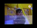 Download Lagu Cikgu Sulizi - Selamat Demo Berumahtangga (Video Muzik) Download Lagu Cikgu Sulizi - Selamat Demo Berumahtangga (Video Muzik)