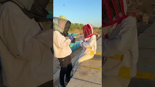 The Best Honey In Egypt Part 2 