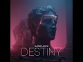 Destiny - Alesso & SACHA