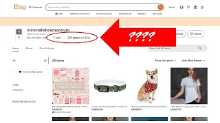 1 Sale in 2 5 Years - What s Wrong Etsy Shop Review