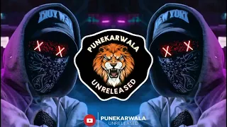 humne pakadli hai dhammal ipl mix its ab remix punekarwala unreleased