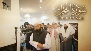 Surah An-Nahl | Fahad Aziz Niazi | Tarawih سورة النحل  | فهد عزيز نيازي  | التراويح