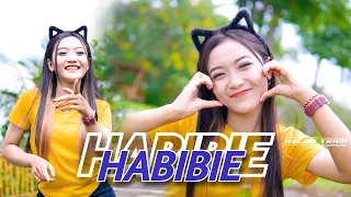 Download DJ HABIBIE NEW X MELODY VIRAL YANG KALIAN CARI MP3