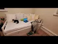 Alaterre Furniture Melody Extendable Bed timelaps