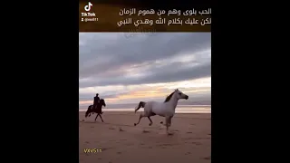 اقوم قومة جمل واطيح طيحة حصان  اقوم قومة جمل واطيح طيحة حصان