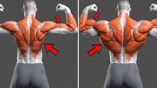 5 Exercises for a Wider Back and Bigger Biceps
