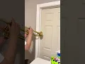 Download Lagu Wake up and get off your call #sammy #wakeup #funny #call #trumpet #stupid #alex #edgemont