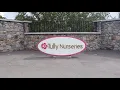 Careers in Tully Nurseries