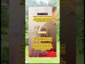 Download Lagu risty tagor di julukin netizen si tukang k4win #shortvideo #shorts #trending #viral