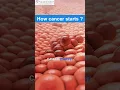 Download Lagu How Does Cancer Start in a Human Body? #cancer #cancercure