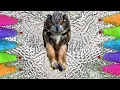Coloring World Together Owl Coloring Pages