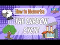 GCSE Biology Memorising Trick in 55 Seconds The Carbon Cycle