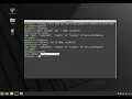 How to set python3 as default interpreter in linux Mint20 instead of python2 - bash