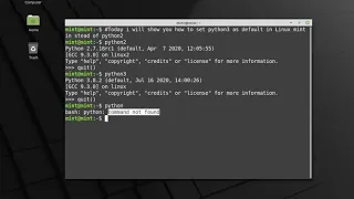 How to set python3 as default interpreter in linux Mint20 instead of python2 - bash