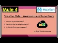 MuleSoft Securing Sensitive Data - Awareness and Logging Standards