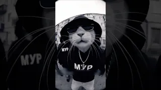 Двигаюсь на МурМулях 