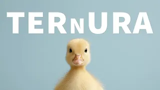 Ternura - hoy - palabras aladas