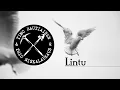 Lagu Timo Rautiainen \u0026 Trio Niskalaukaus - Lintu (lyriikat tekstityksenä)