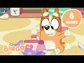 Download Lagu 🔴LIVE: Best Christmas Bluey and Bingo Moments 🎁 ✨ | Christmas and More Fun Moments | Bingo