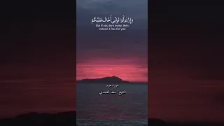 القارئ الشيخ سعد الغامدي 