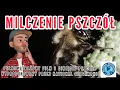 Download Lagu National Geographic Milczenie Pszczół Silence of the #bees pełnometrażowy #film #geographic