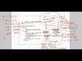 CPE 121 Lecture 10 - Objects and Classes
