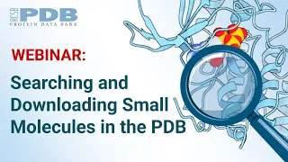 Searching and Downloading Small Molecules in the PDB