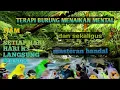 Download Lagu TERAPI AIR UNTUK SEMUA JENIS BURUNG. PALING UTAMA UNTUK KACER DAN MURAI BATU