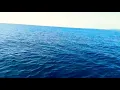 Download Lagu Totina, (Jaco) Tutuala🐬🐬