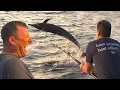 This Wasn t Supposed To Happen Marlin Sailfish Dorado Tuna Fishing Spearfishing
