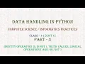 Data Handling Part 3 Computer Science Informatics Practices Class 11 Unit 1 2025-26