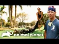 Gators in Weird Places Gator Boys Animal Planet