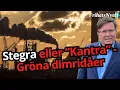 Download Lagu Är det gröna stålet redan på väg mot konkurs?” - Arne Weinz
