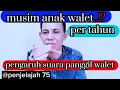 Download Lagu rahasia sukses populasi anak walet, juga mengenai suara panggil dan suara inap