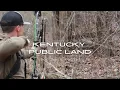 Big Kentucky Public Land Buck - Is Thanksgiving week to late