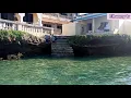 Download Lagu WASINI ISLAND SEA VIEW COAST KENYA, BEST PLACE TO BE,