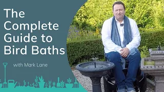 A Complete Guide to Bird Baths with Mark Lane PrimroseTV