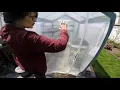 Greenhouse Review