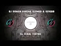 Download Lagu DJ DOMBA KURING V4 SLOWED \u0026 REVERB | SOUND RIZKY SZ