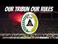 Download Lagu OUR TRIBUN OUR RULES - CAMPUS BOYS | BCS 1976 (lirik)
