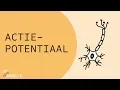 Download Lagu Actiepotentiaal