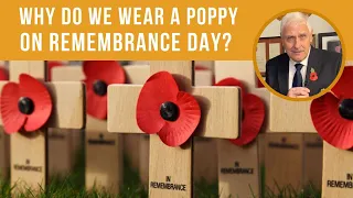 Download Why do we wear a poppy on Remembrance Day MP3