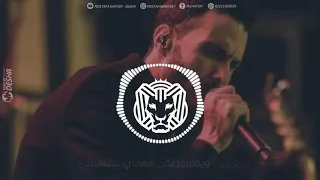 اصوات كتير حلوة لكن دماغ مفيش دندنها