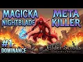 META KILLER - PURE NIGHTBLADE PvP U50