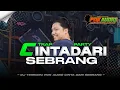 Lagu CINTADARI SEBRANG || DJ TRAP PARTY 