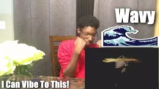 phora no looking back reaction video